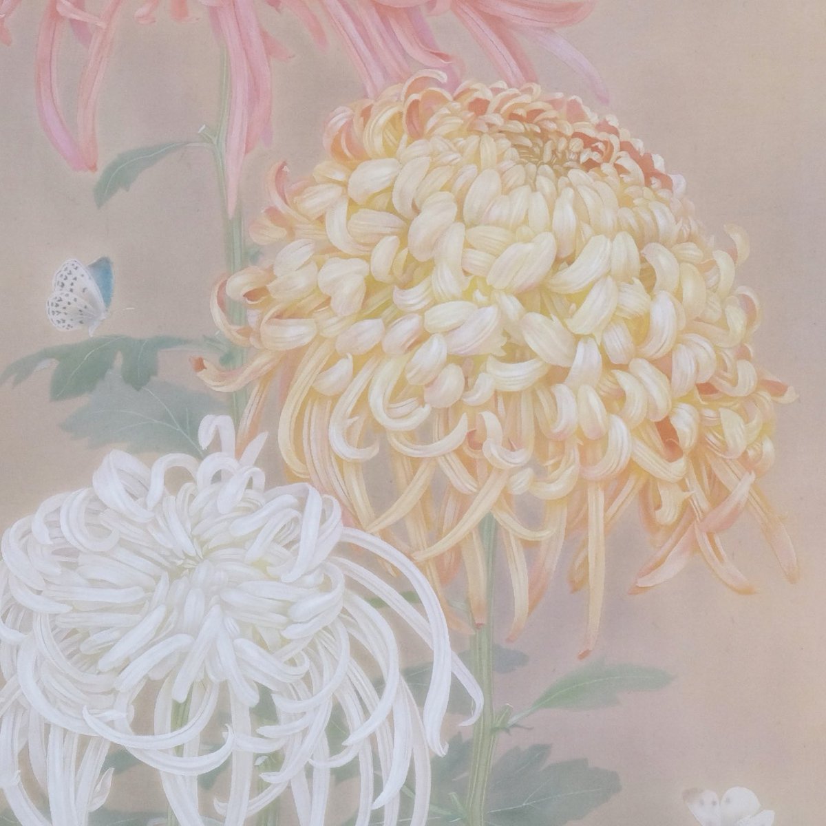 京都絵美 (@228miyakoemi) / Posts / X