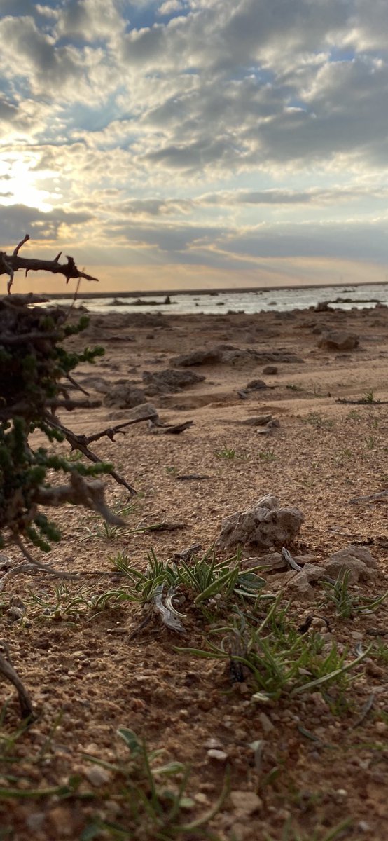 #بوح_آخر_الليل
.
الا يالله طلبتك ياولي العرش يارحمن 
بغيثٍ منه يمشي كل وادي بالسعوديه