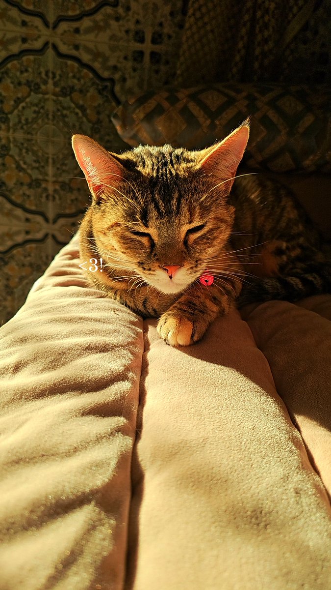 نهار ولات كاندي كتبغي تصيد سراق زيت 
كنبعدها عليه وكنقولو سير عيش حياتك 
عرفت راسي تبدلت تاهو من حقو يعيش