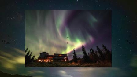 etcworkshop1's tweet image. 📏A spark fades into light .🌲Ladybug reads poem