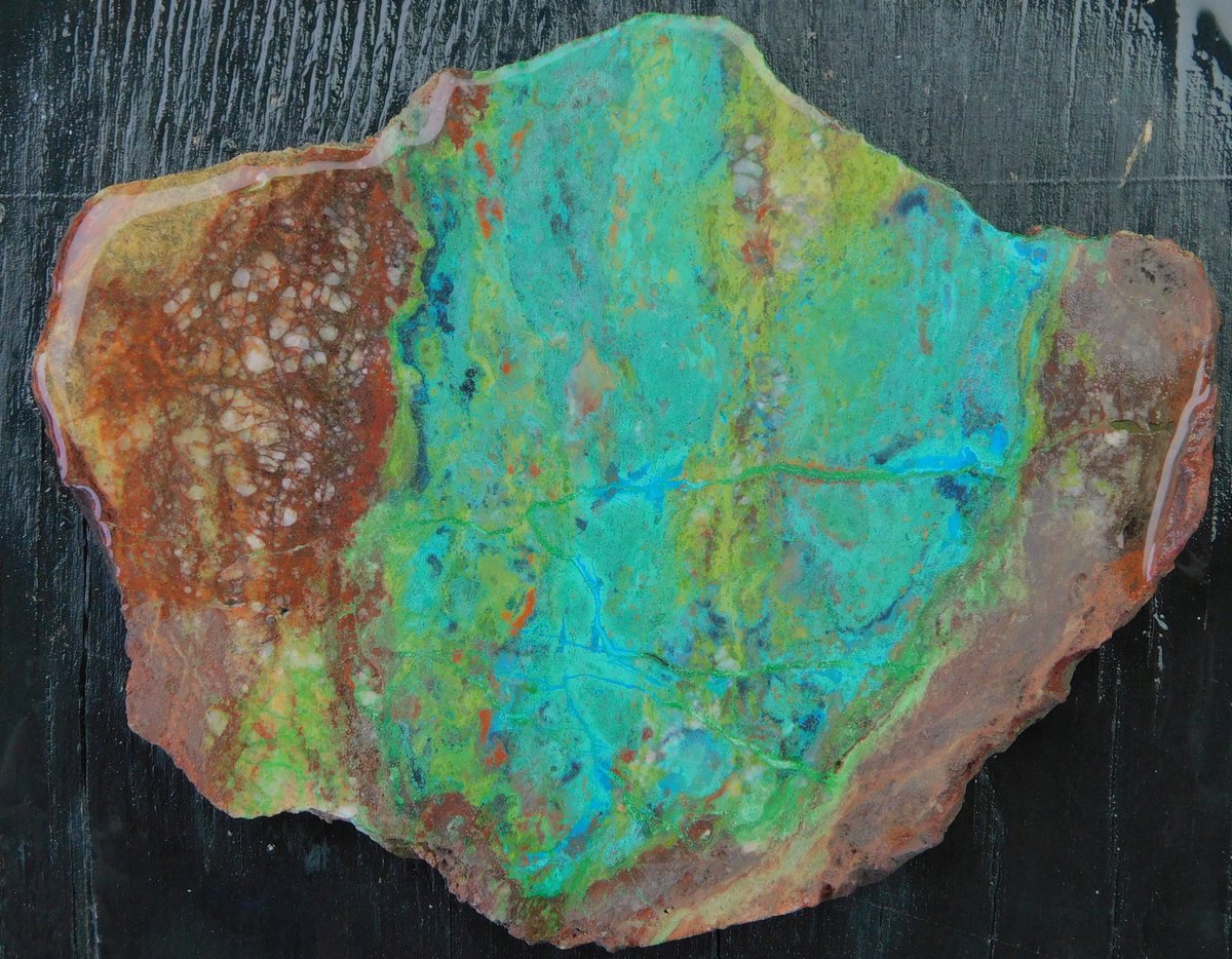 RiverbendLap's tweet image. Parrot Wing Slab Auction Today @ facebook.com/groups/riverbe…

#ParrotWing #Chrysocolla #RiverbendLapidary
