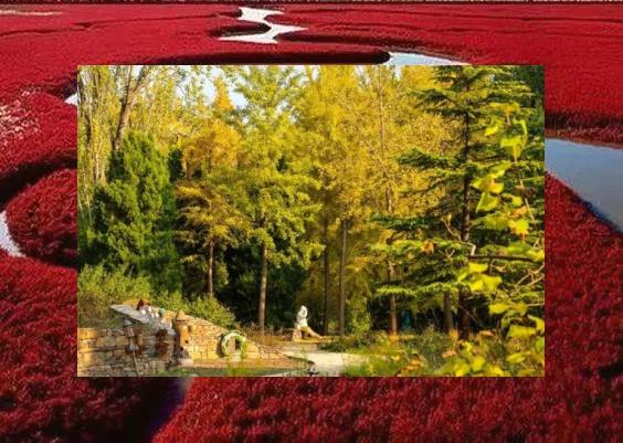 TalataTang's tweet image. 🩹Squares, city landmarks. Visit.🍫Cat meows, play.