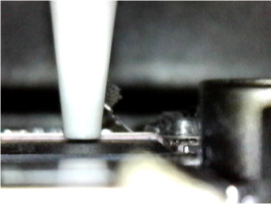 Gabriel Gonzalez tweet media