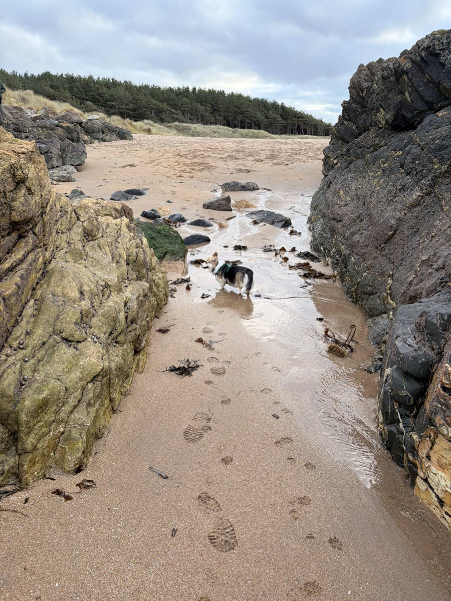 misneachhiggins.bsky.social tweet media