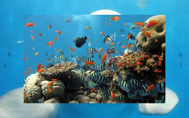 basautomatic's tweet image. 🍢Star’s twinkle, moon’s half—night’s laugh.👏Wind opens jacket