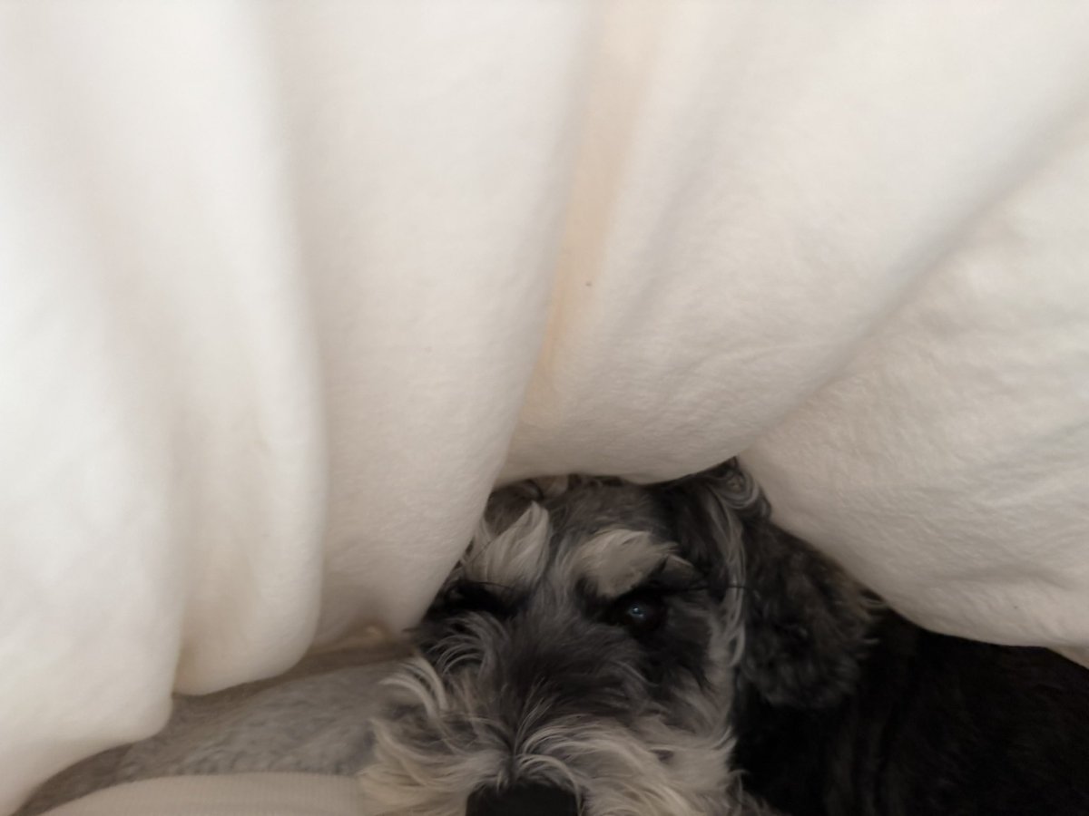 まだママの布団の中