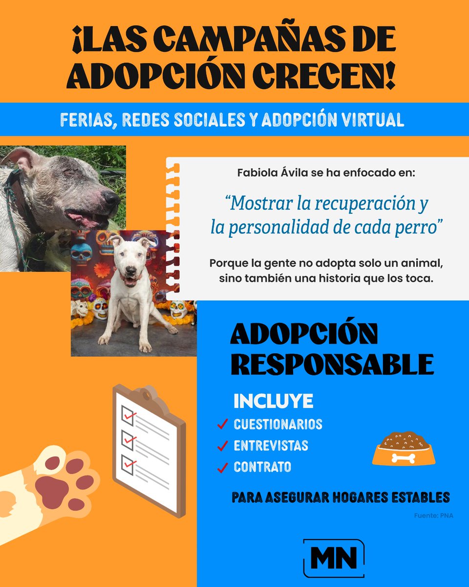 MeganoticiasMx's tweet image. 🐾 En México, miles de animales sobreviven entre el abandono y el maltrato, esperando que alguien los vea y les dé una segunda oportunidad. Cada rescate no solo transforma su vida… también la de quienes deciden ayudarlos.

🔍 tinyurl.com/ystbxa3f
