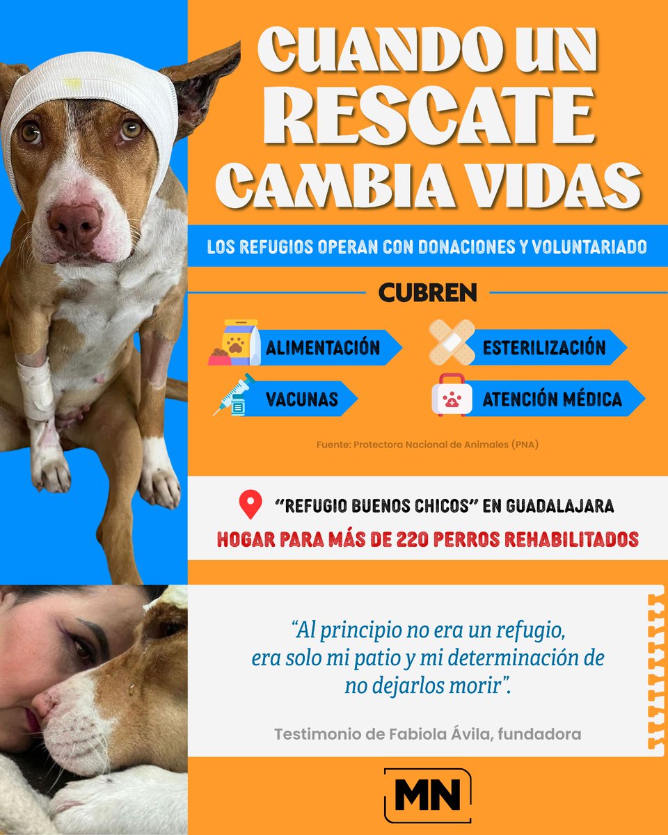 MeganoticiasMx's tweet image. 🐾 En México, miles de animales sobreviven entre el abandono y el maltrato, esperando que alguien los vea y les dé una segunda oportunidad. Cada rescate no solo transforma su vida… también la de quienes deciden ayudarlos.

🔍 tinyurl.com/ystbxa3f