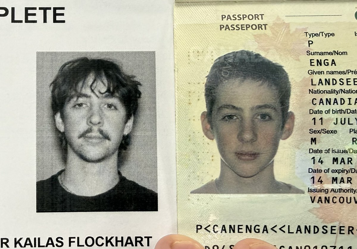 Landseer Enga tweet media