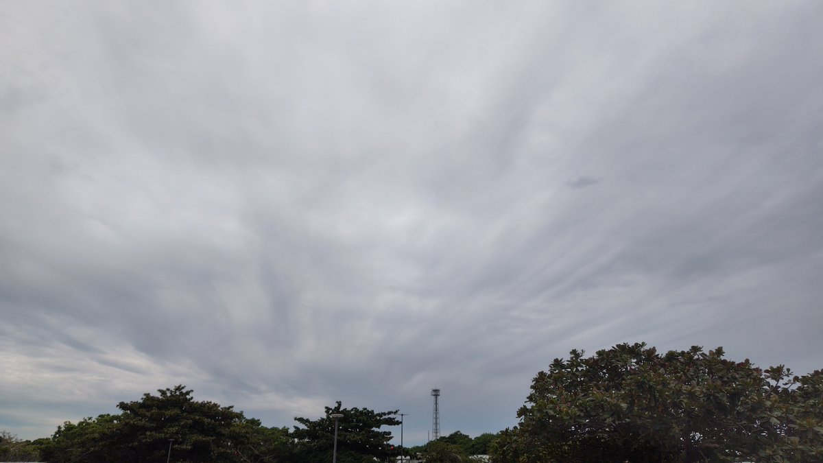 SCL_Ryukyu's tweet image. 