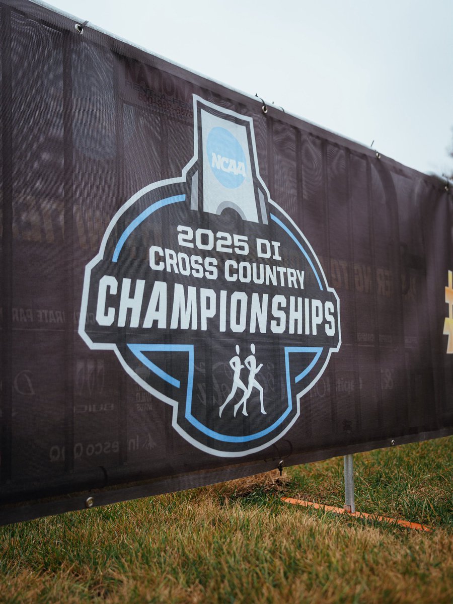 FSU_Track's tweet image. Strava shows the grind. 𝑰𝑭 builds the determination 🤝

#NoleFamily | #OneTribe