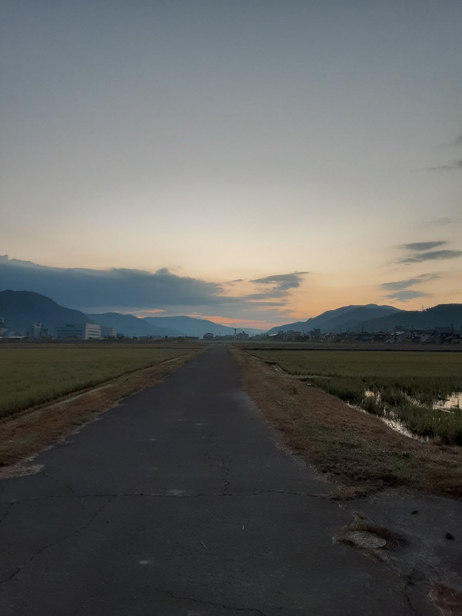 speck_ot's tweet photo. 朝散歩&amp;ラン。2km20分。澄みきった空と空気に癒される。小さな幸せを噛みしめて、家路に着く。

#朝散歩 #ランニング #ジョギング https://t.co/omSwwtRQZF