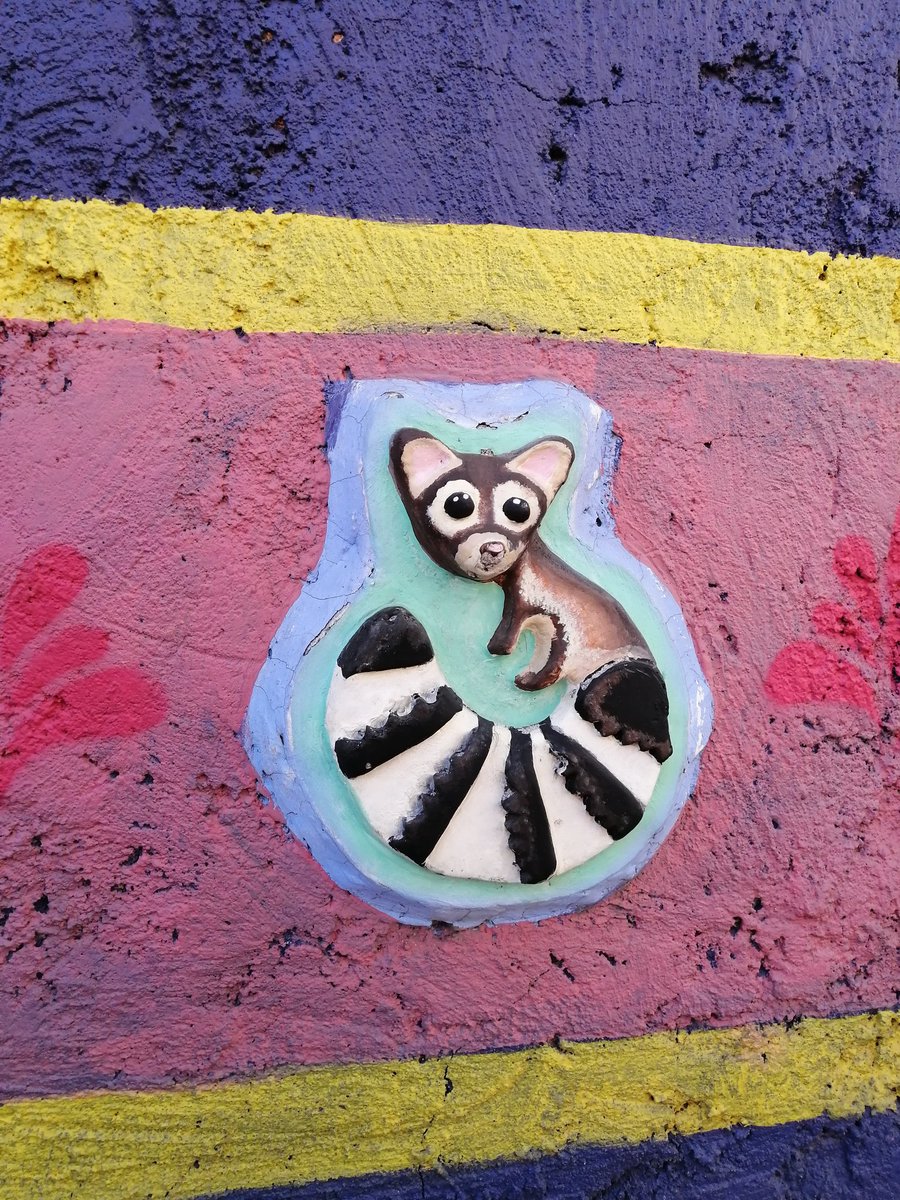 Voy rumbo a la iglesia de San Juan Tlihuaca (por el evento de los compañeros de Cine de Barrio), y voy viendo que en las calles hay Cacomixtles, nu maaaaaa, está bien chido esto.