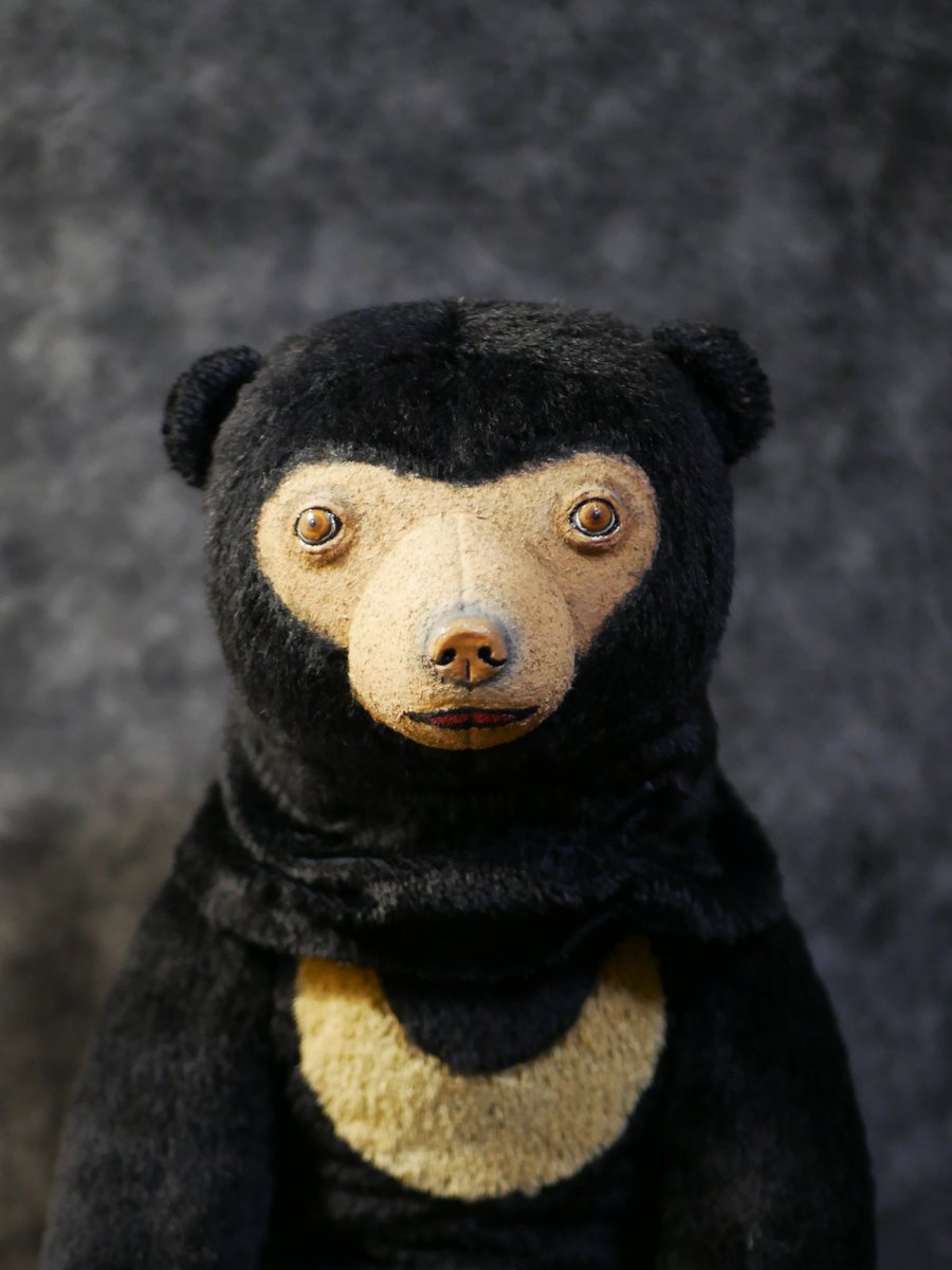 Plum's (@umeumezoozoo) / Posts / X