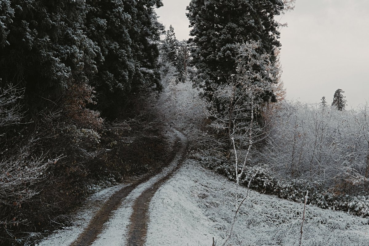 monkyDIO's tweet image. 