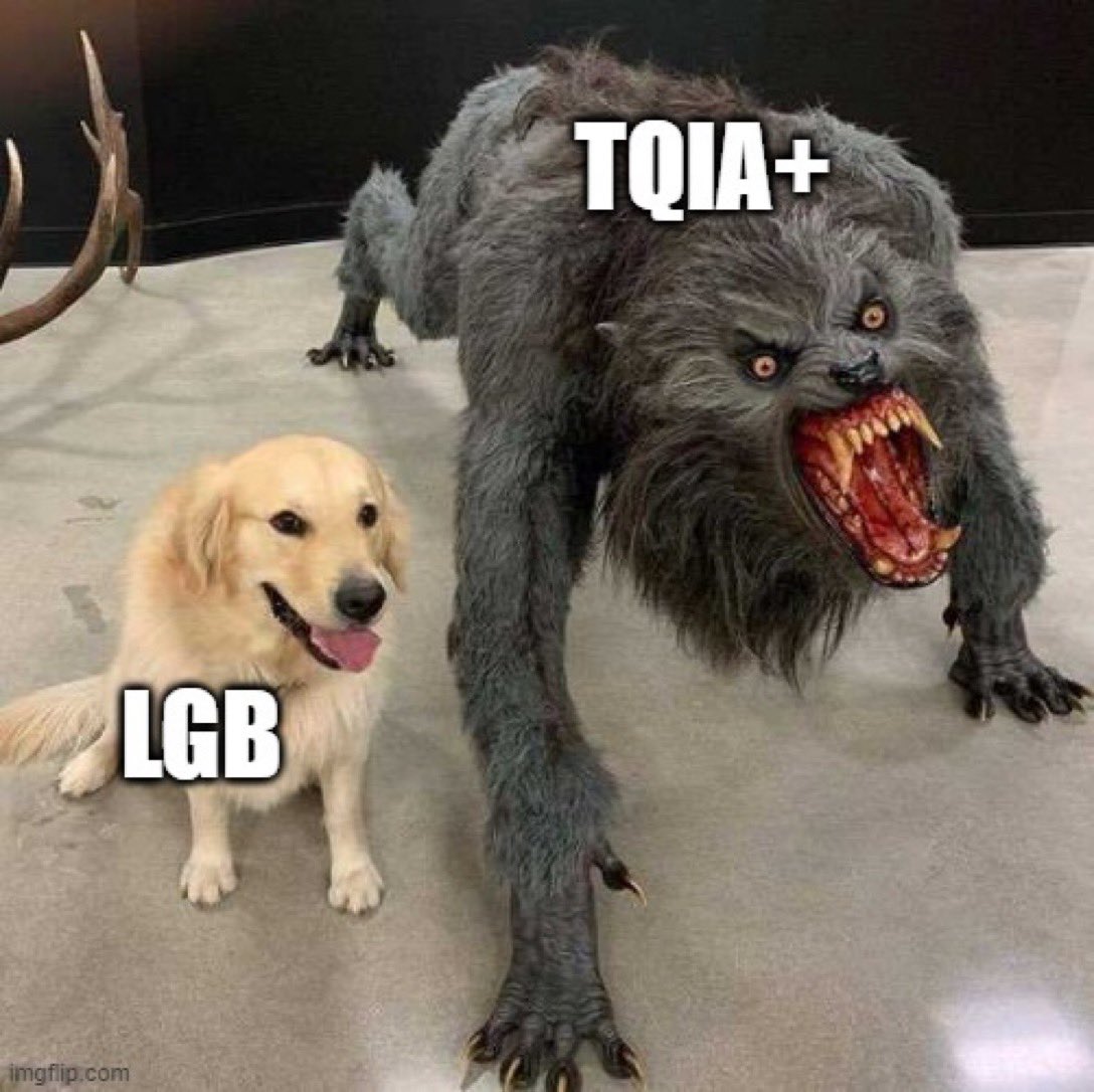 LordSebFlyte's tweet image. There is zero T or QIA+etc in LGB. Force-teaming gay people into a 'community' with people who have a mental illness must stop. LGB are sexualities. TQIA+etc are misogynistic, misandrist, homophobic, gay-erasing, child-endangering, psychiatric ideologies.