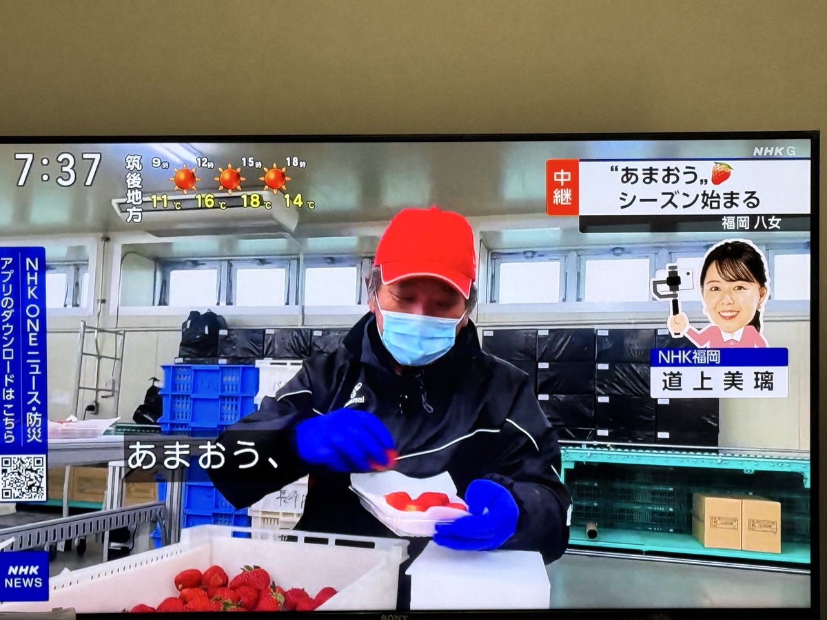 あっちゃん もっちゃんのバイク紹介5台目「ホンダ DIO ZX（AF28）」 - YouTube