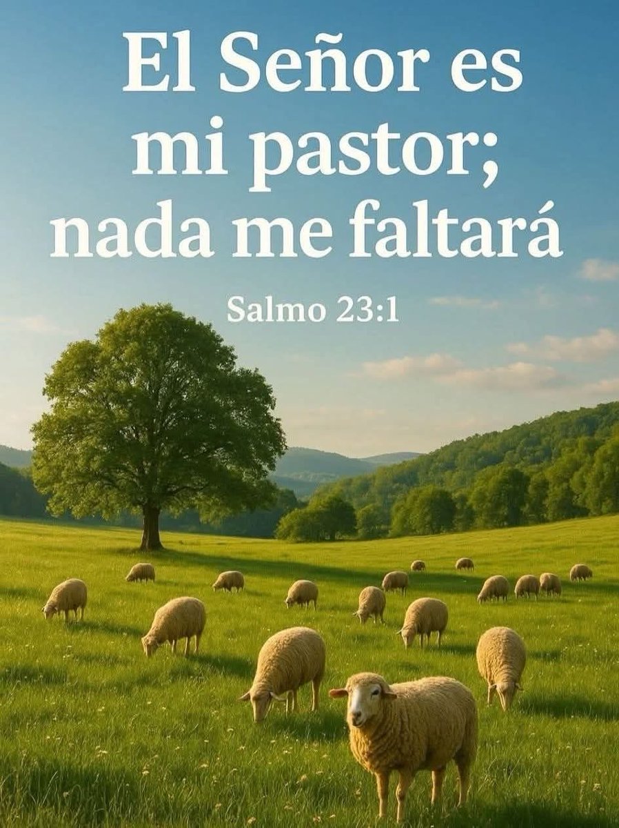 BeaMerc42046583's tweet image. 