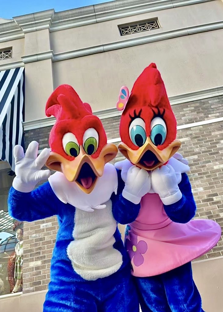 ウィニーウッド Twisted X® | 6