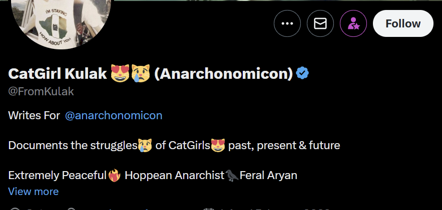 hellofishy322's tweet image. sometimes twitter is funny AF

the rise of nazi-style anarchism(?) with hints of anime fetishization (for some reason?) is sure one of those things...