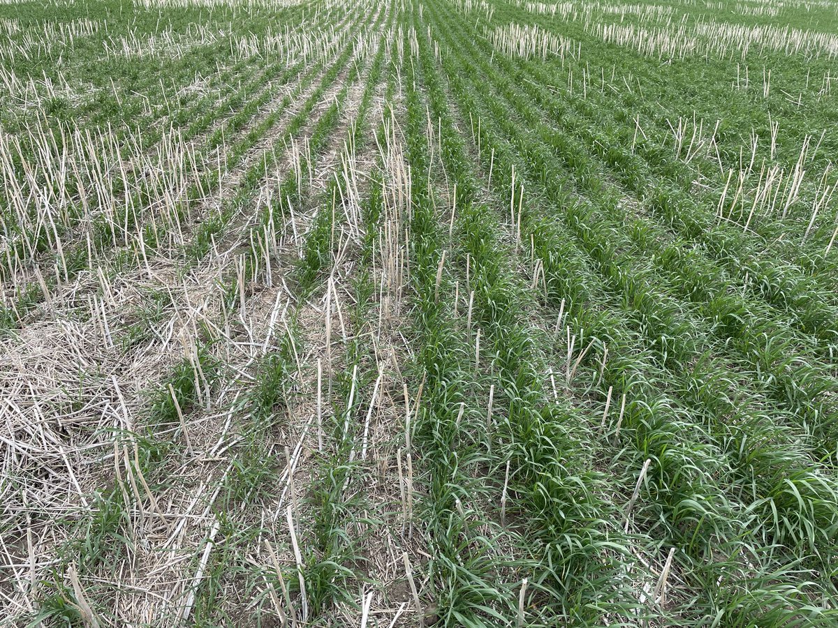 HELLO
Hello 

….. hello 

………hello 

🐦📷