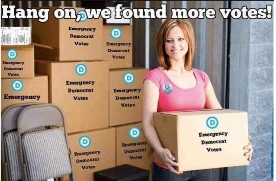 cash_n_carey's tweet image. There is a reason Steve hides our voter rolls.