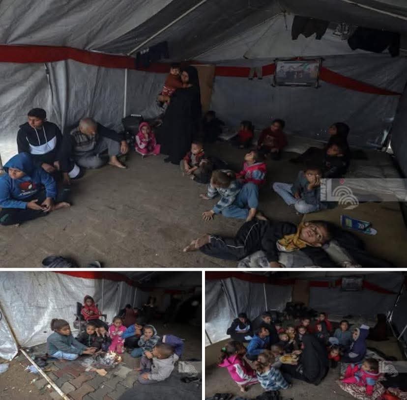 Umm Muhammad Aliwa,  a Gazan grandmother carries a burden heavier than mountains. Her five sons were killed in the war of extermination, but her heart remained strong, embracing her 36 grandchildren who have become her entire world.