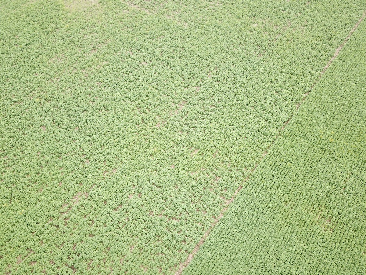 HELLO 
Hello
……. hello 

…… hello 

….. hello 

🐦📷