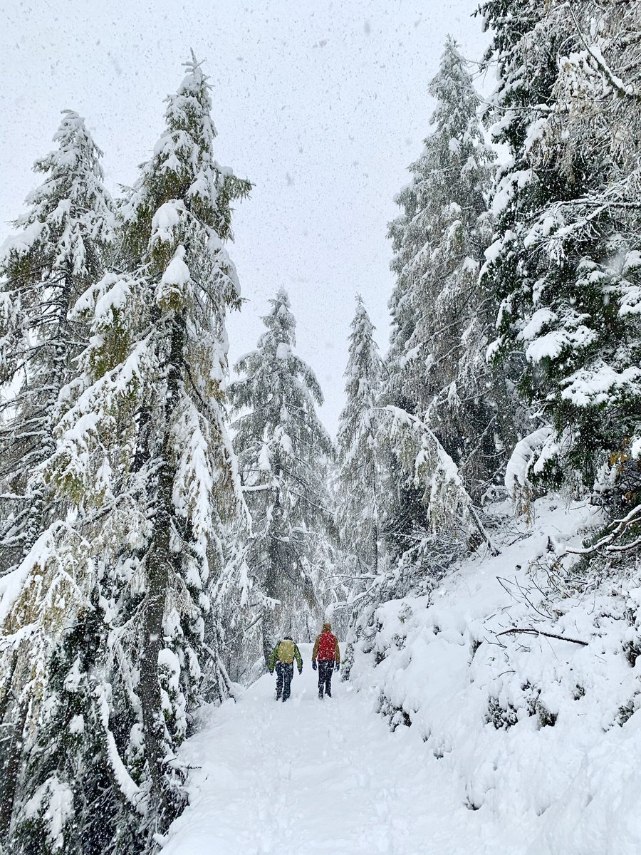 ExploringSlo's tweet image. Let it snow ❄️❄️❄️