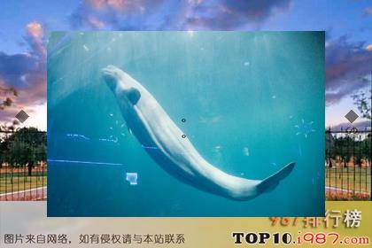 tanusin2's tweet image. ⚖️They create dreams to stay sane.🛡Cook pasta, flavorful.