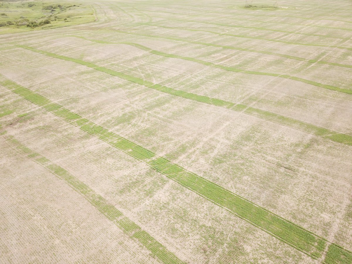 HELLO
Hello 

….. hello 

………hello 

🐦📷