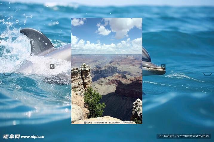 VisyMon's tweet image. 🛹Drink cold lemonade, rare🥄Iced coffee, strong.