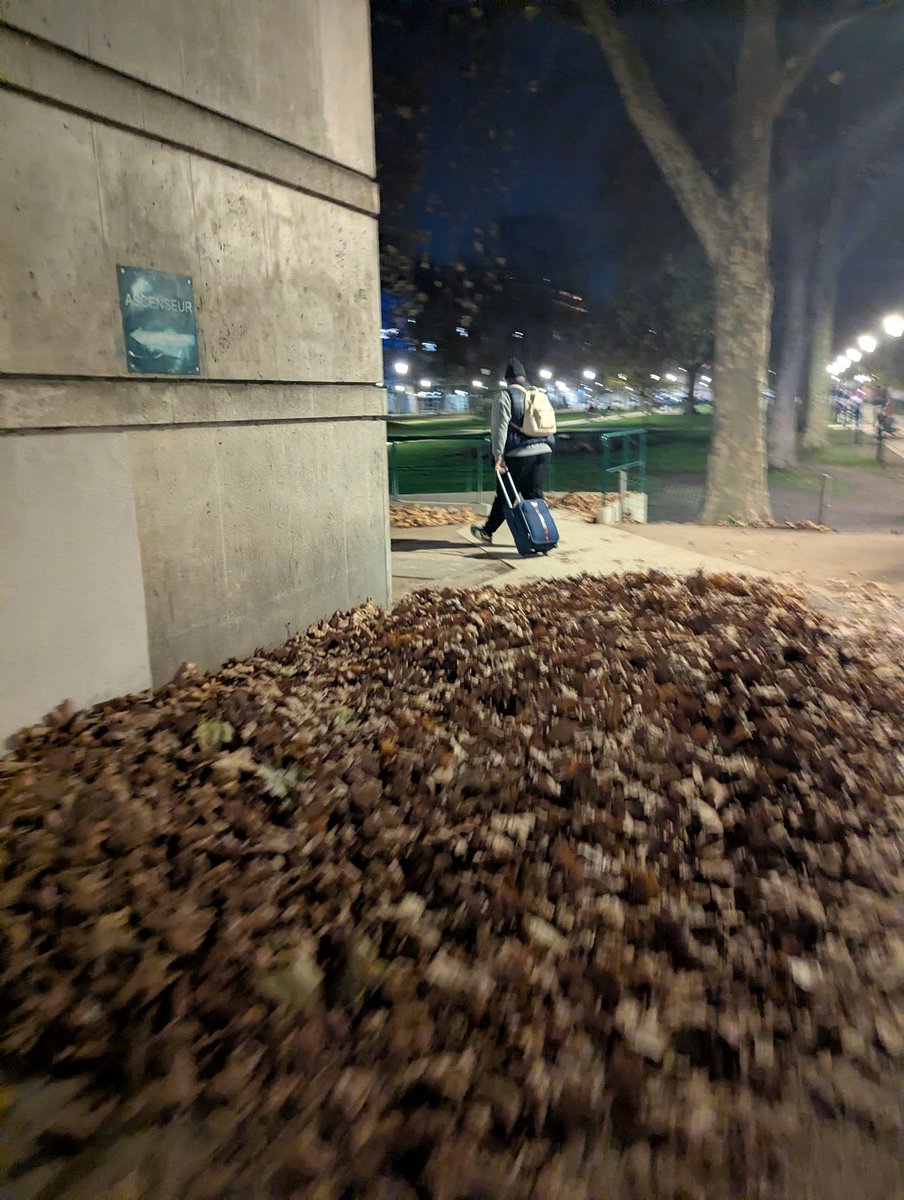 hellowlor's tweet image. чем встречает Париж?

правильно, двумя игривыми крысками в parc de Bercy

ну ладно, листва ещё красиво лежит