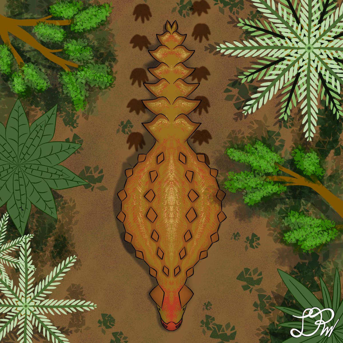 JeremyRengifo2's tweet image. Día 20 del Dinoviembre - Stegouros
En ejemplar de Stegouros elengassen caminando a través del bosque, nuestro punto de vista es aérea
#Art #Digitalart #paleoart #dinoviembre2025 #dinoviembrefosil2025 #elfosilviviente #stegouros