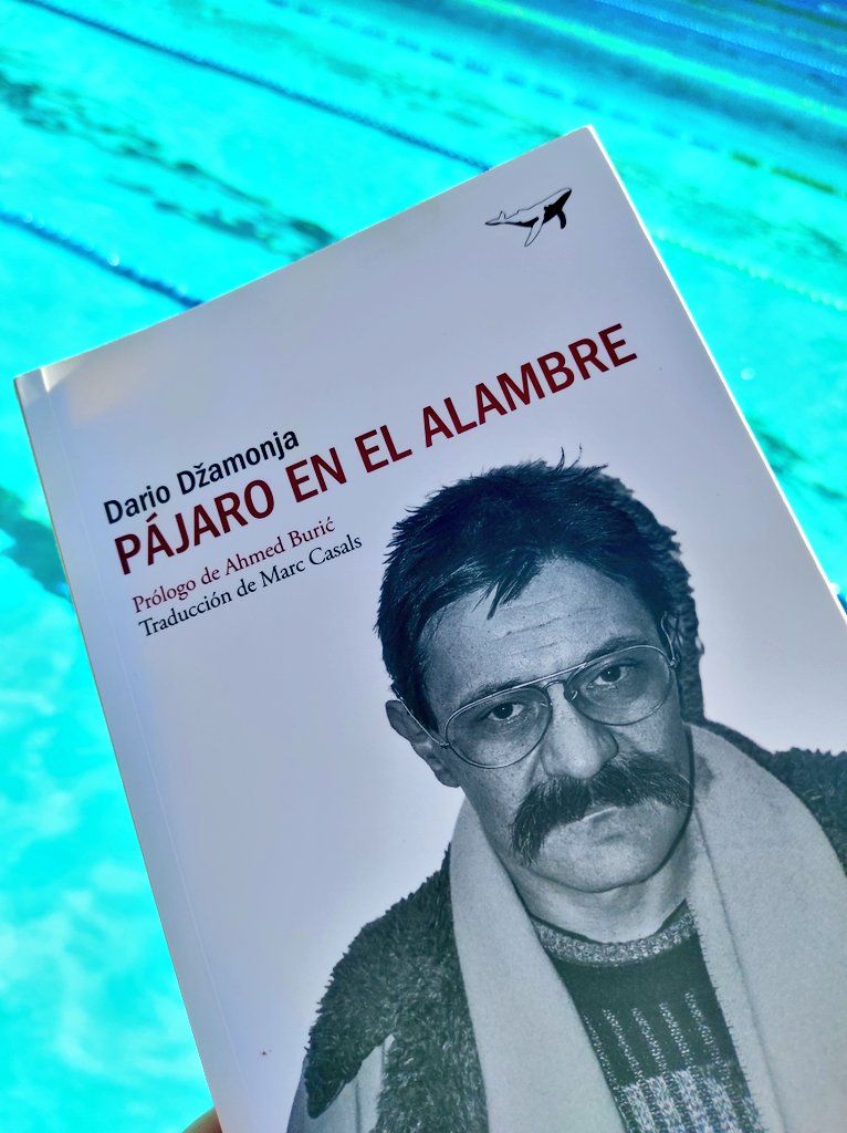 ladylibrorojo's tweet image. Enviada mi reseña de #NadieMeEsperabaAquí a @tdetour y terminando mi reseña de #PájaroEnElAlambre #Džamonja para @ProfesorJonk 📨📨📨
(sí, creo que el lugar en el que más leo es en la piscina 🩵)