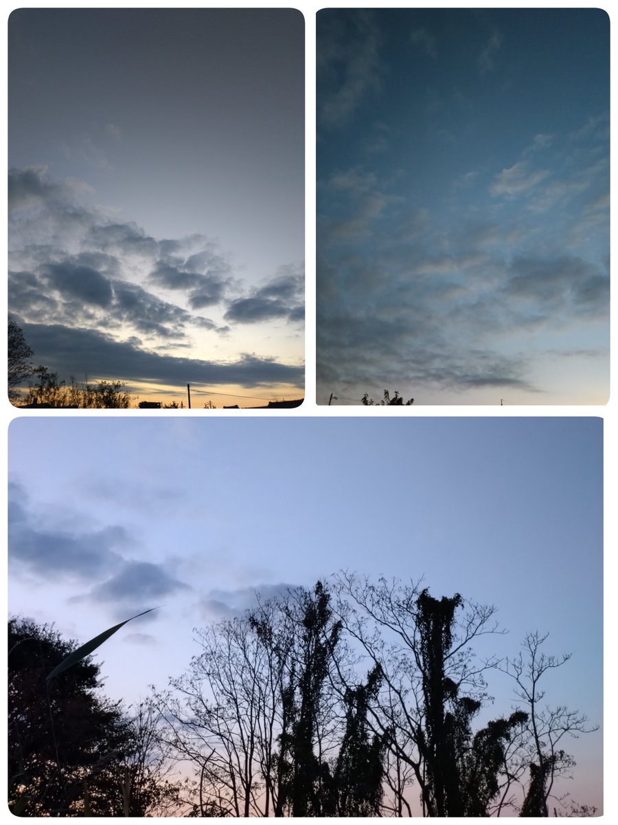 8honey_8honey_8's tweet image. 今朝の日の出直前の空🪽
夜明け前からウォーキングして帰る頃に明るくなり始めた。
今日も良い日になりますように🤍