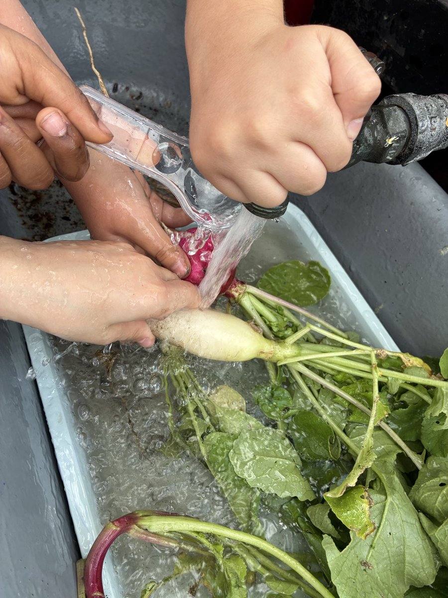 Angela Hoang tweet media