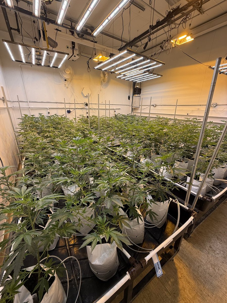 ZeroGravity510's tweet image. Room is ready for takeoff. First run is just around the corner. Got something special cooking…stay tuned 💯🫡🚀