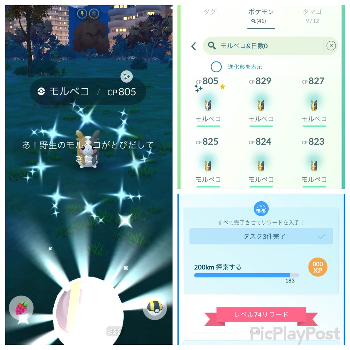 ポケモンgoお値段？交渉ください♡ た𝕏ポケGO黄TL50 (@Asdf79873607) / Posts / X