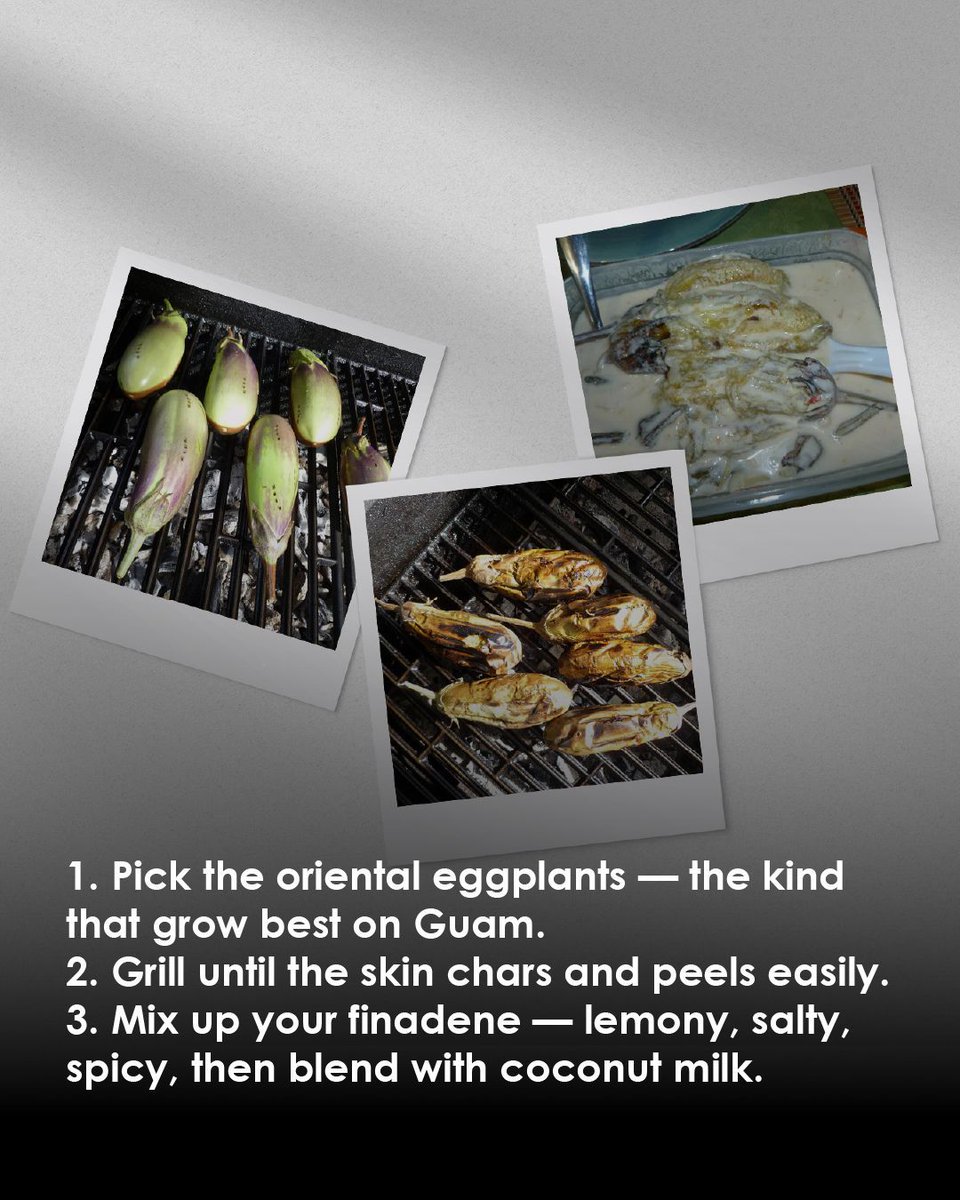 TheGuamGuide's tweet image. 🔥 On Guam, we’ll BBQ anything — even eggplant!

Rueben Olivas of BBQ Guam shares Lechen Biringhenas, a smoky Chamorro dish simmered in coconut milk and tradition.

Read more ➡️ buff.ly/myZE6d5 

#TheGuamGuide #GuamEats #BBQGuam #ChamorroFood #IslandLife