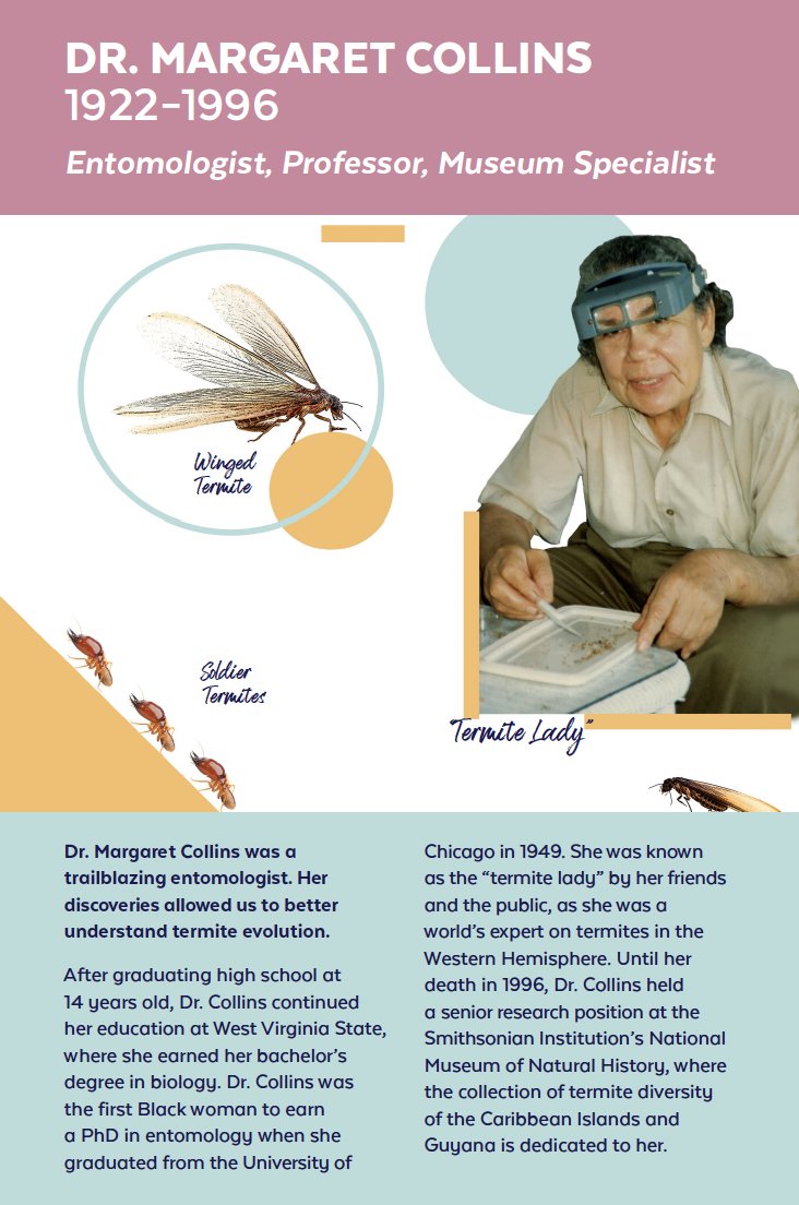 Black in Natural History Museums tweet media