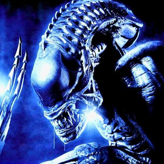 TheDirect's tweet image. EXCLUSIVE: #PredatorBadlands director Dan Trachtenberg has addressed the possibility of an ALIEN VS. PREDATOR 3:

&quot;The coolest part of it would be grabbing these elements and letting them cook.&quot;

(via thedirect.com/article/alien-…)