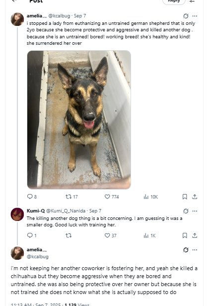 Kcalbug Abuses Animals tweet media