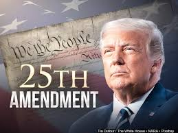 mdalkldi1918's tweet photo. @EdKrassen Invoke the 25th amendment  👇. https://t.co/E1S1avOqBm