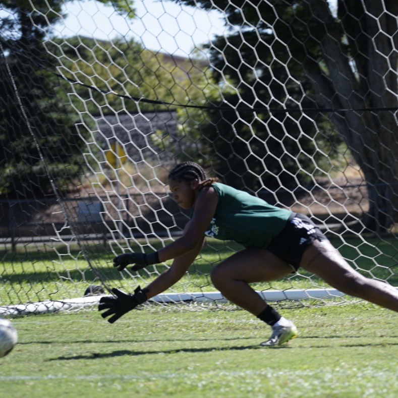 #transfer #transferportal #NCAA #goalkeeper