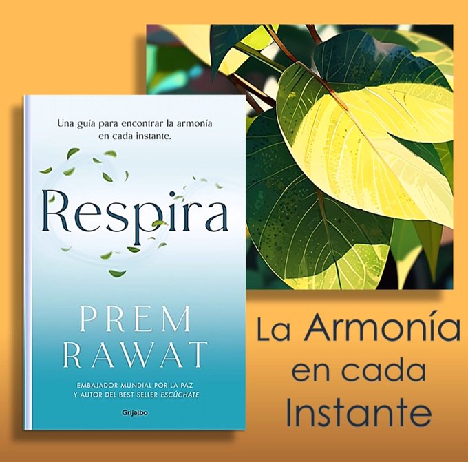 JoseBar12285002's tweet image. Todos necesitamos al mejor amigo posible: Tu mismo. Lee a Prem Rawat ahora. en... is.gd/9Sk6LQ #LeoRespira #peaceispossible #Infpeace  #𝐏𝐫𝐞𝐦𝐑𝐚𝐰𝐚𝐭 #Respira #libroRespira #LeoEscuchate #Leodesierto