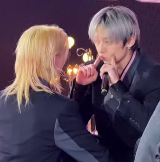 lee know as cats 🐱 tweet media