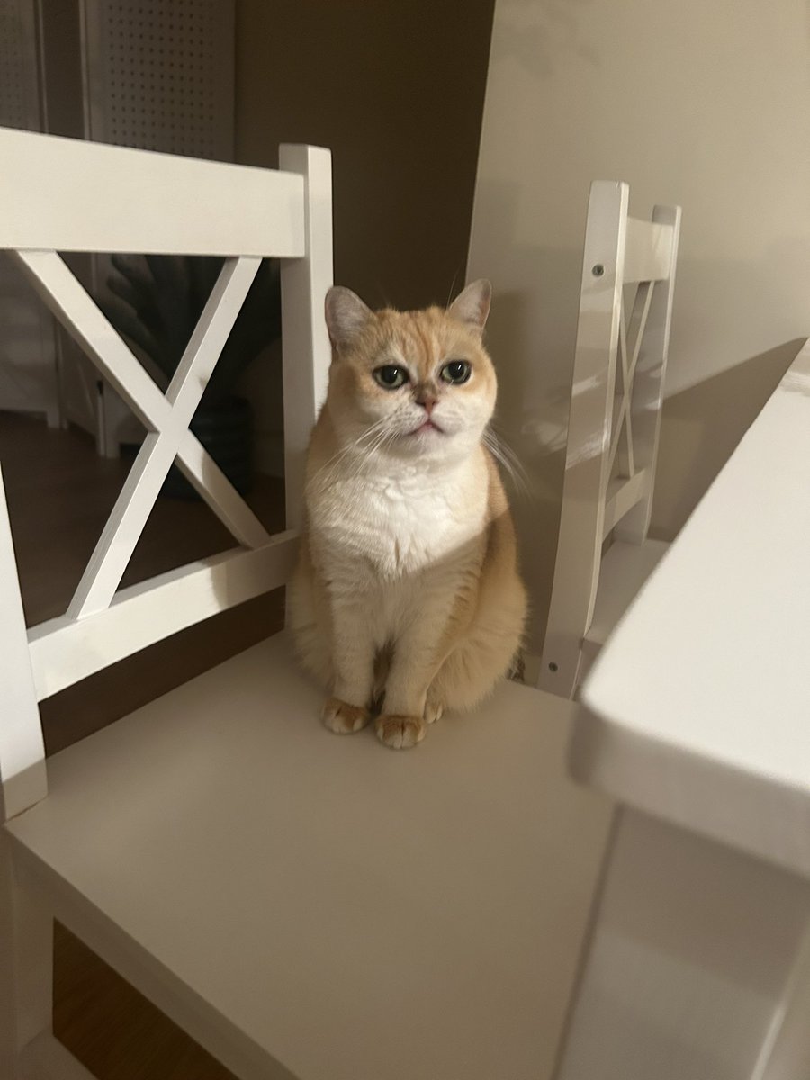 mimybug's tweet image. waitimg. for Wat i donknow