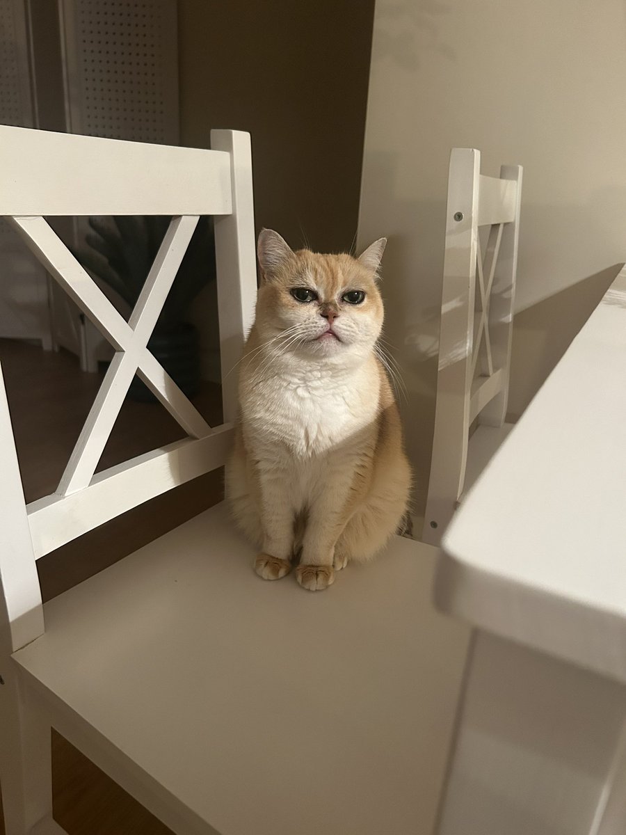 mimybug's tweet image. waitimg. for Wat i donknow