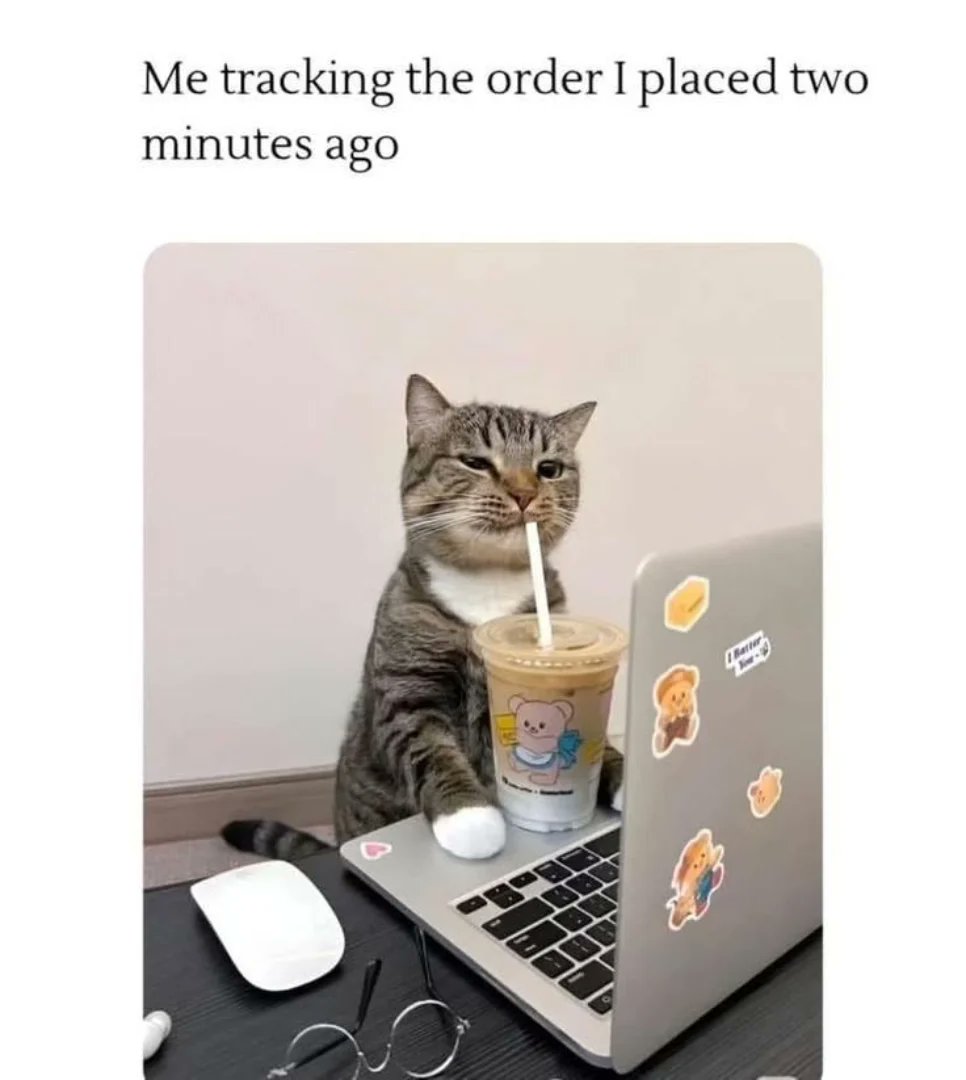 smol silly cat tweet media